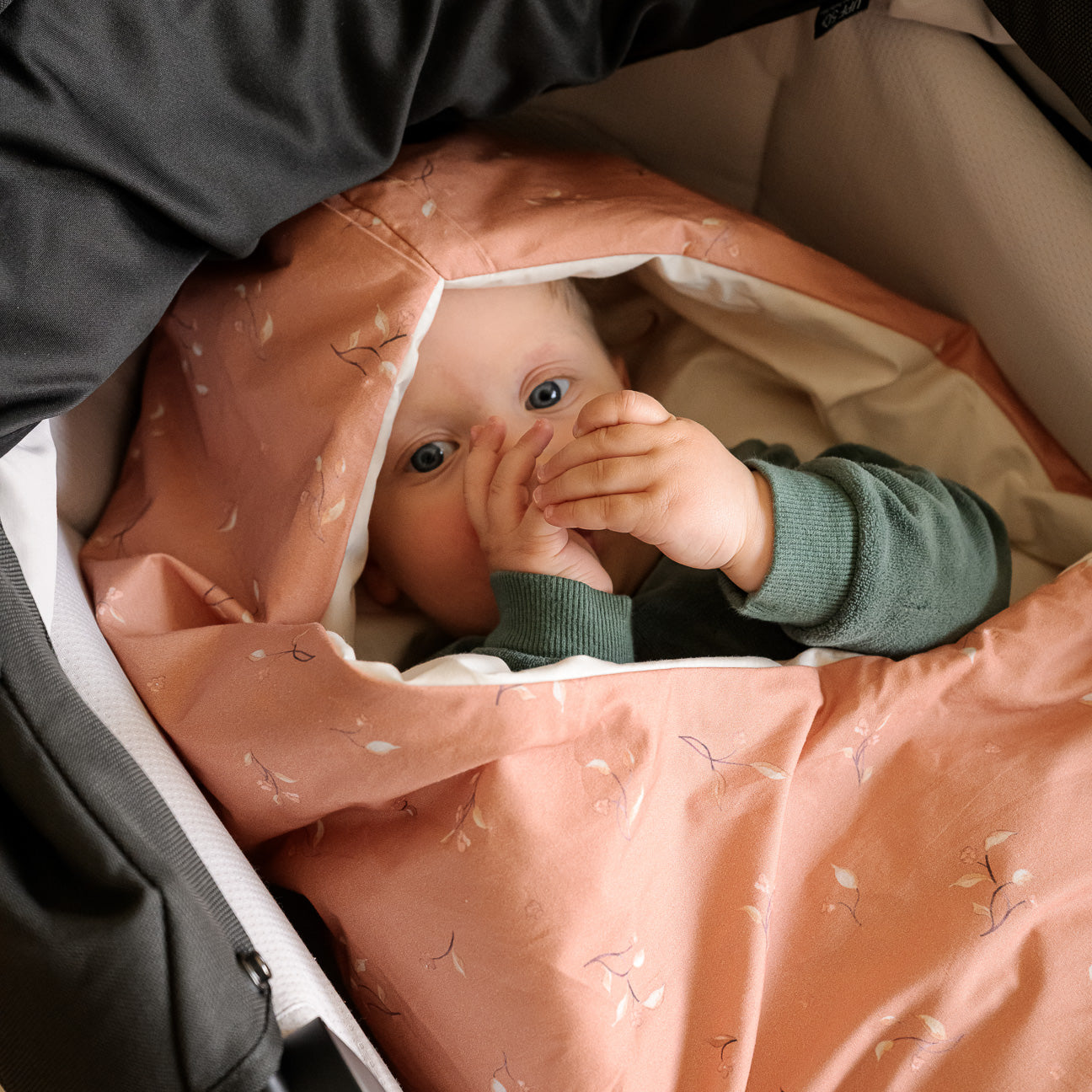 Fußsack für den Kinderwagen für Neugeborene
- 0–6 Monate- Foliage- Perkal - Dalfilo